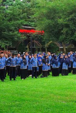 Surat Kemendagri Tegaskan Penganggaran Gaji PPPK Paruh Waktu, Honorer R2/R3