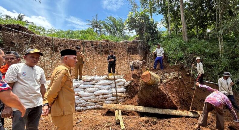 foto slider headline