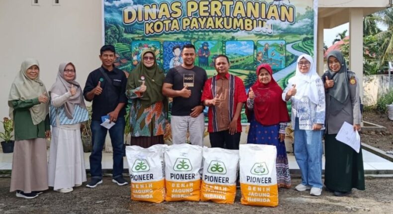 foto slider headline